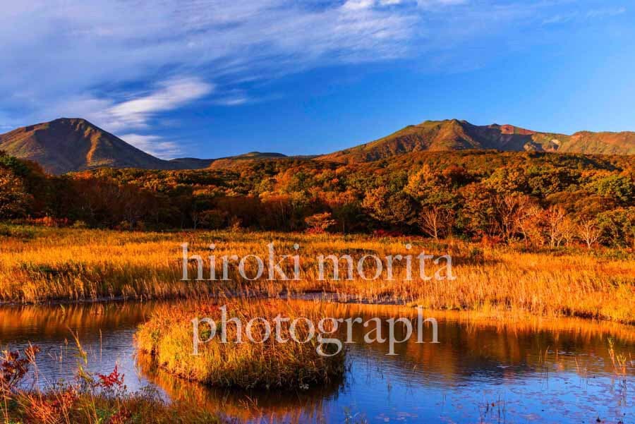 青森県　草紅葉の八甲田山