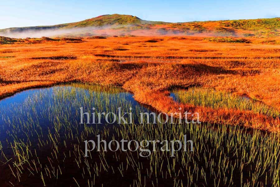 山形県　霧かかる月山　弥陀ヶ原　紅葉