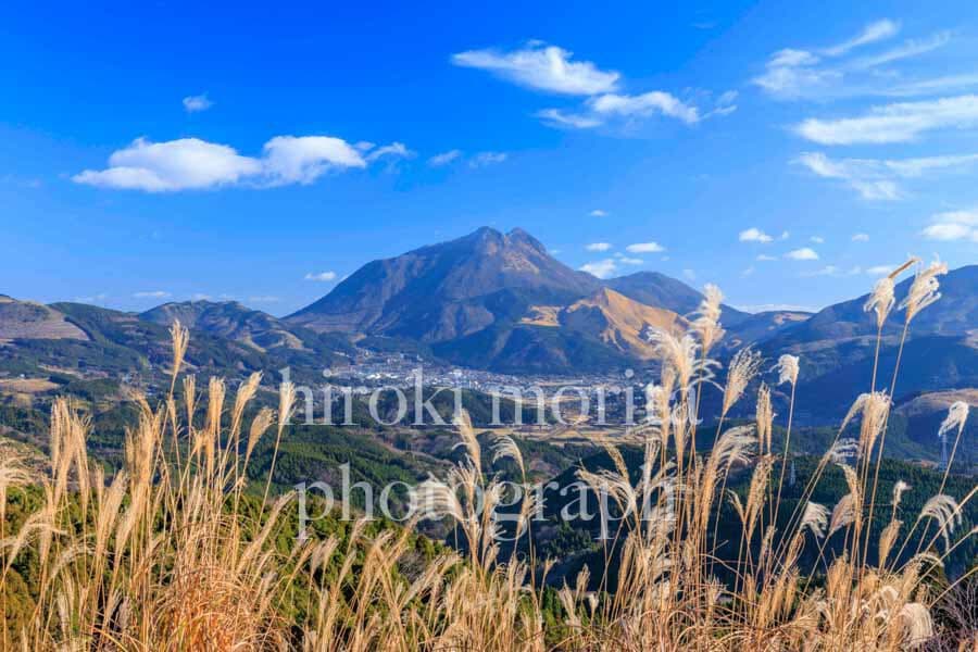 大分県　ススキの由布岳