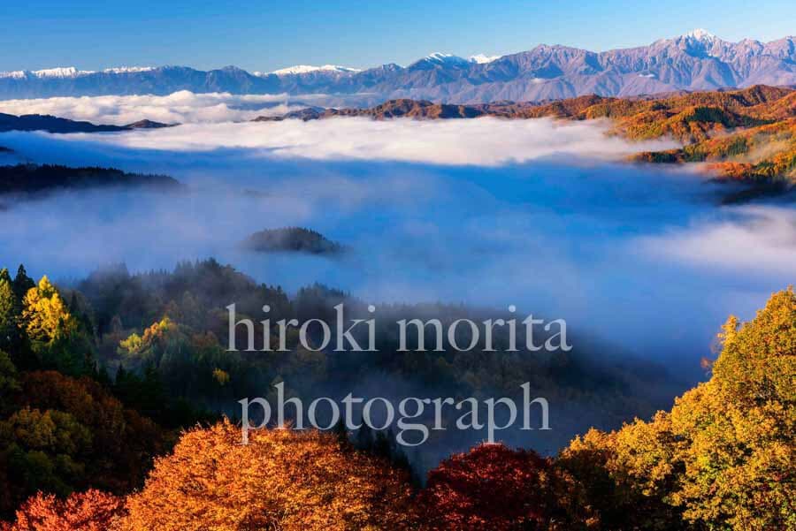 長野県　雲海の北アルプス　紅葉