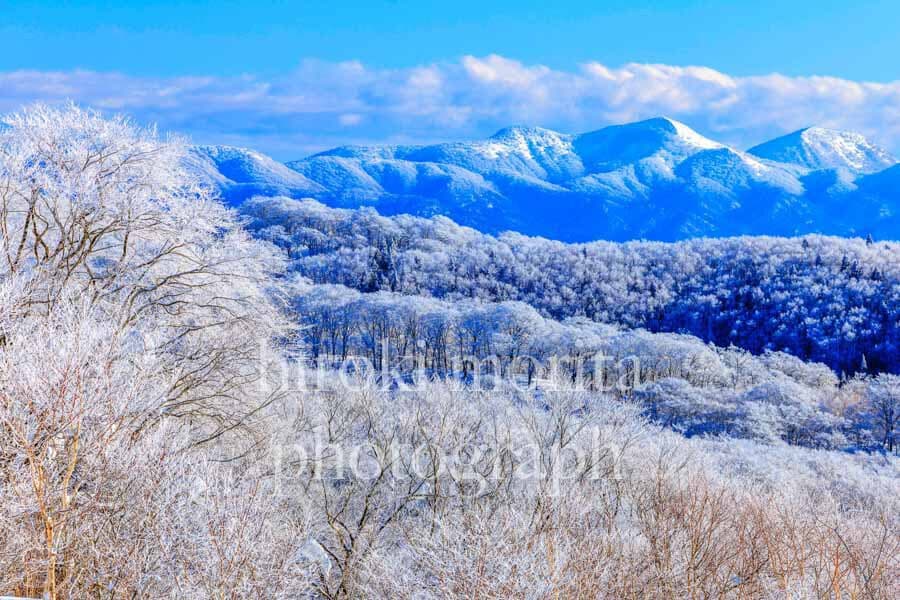 秋田県　霧氷の山並み