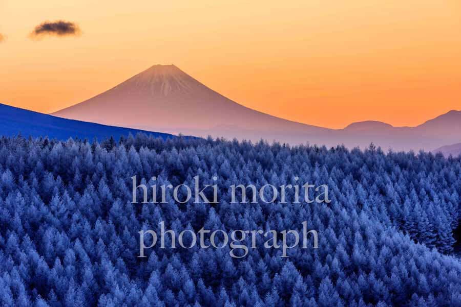 美ヶ原　霧氷　富士山