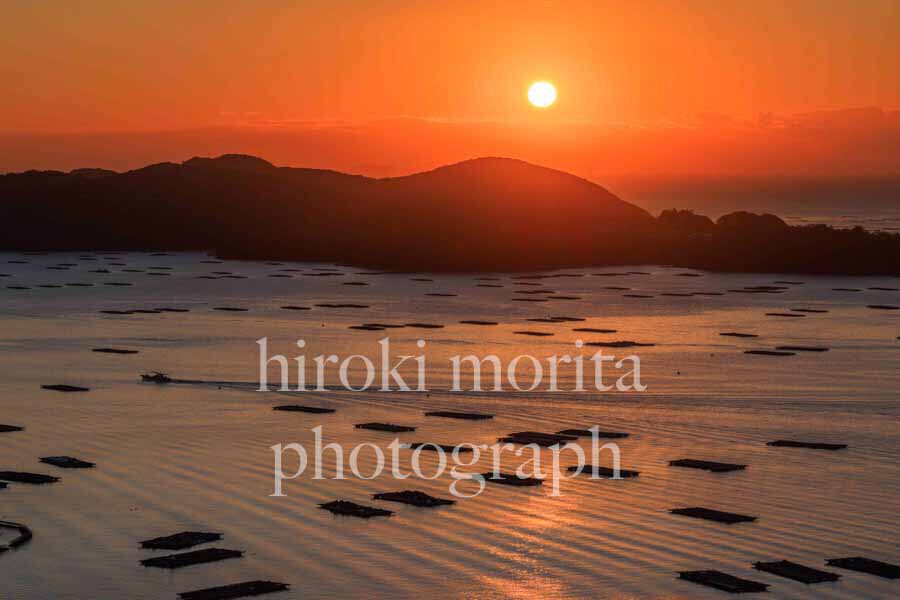 岡山県　牡蠣筏並ぶ虫明湾　朝日