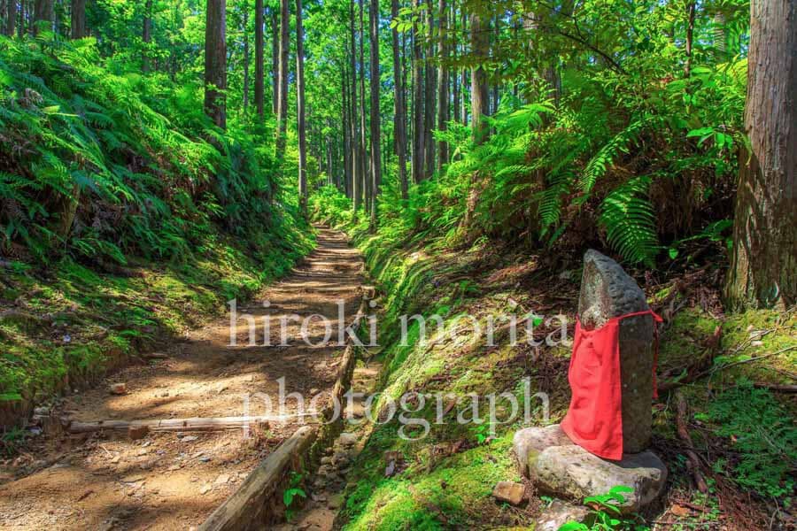 和歌山県　熊野古道
