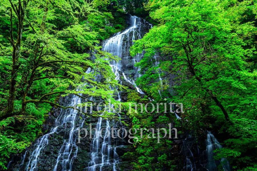 福井県　双竜ヶ滝