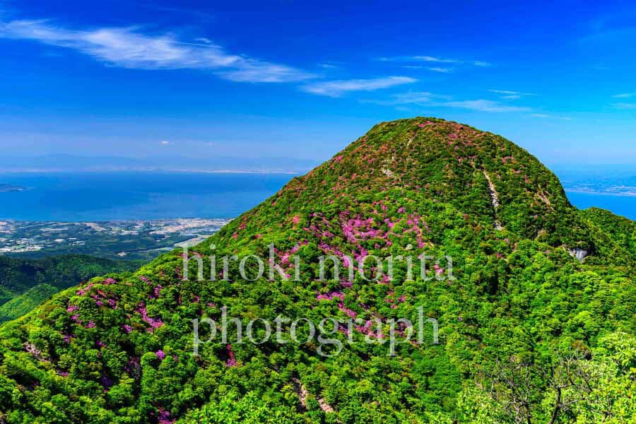 長崎県　春色の国見岳と有明海　ミヤマキリシマ
