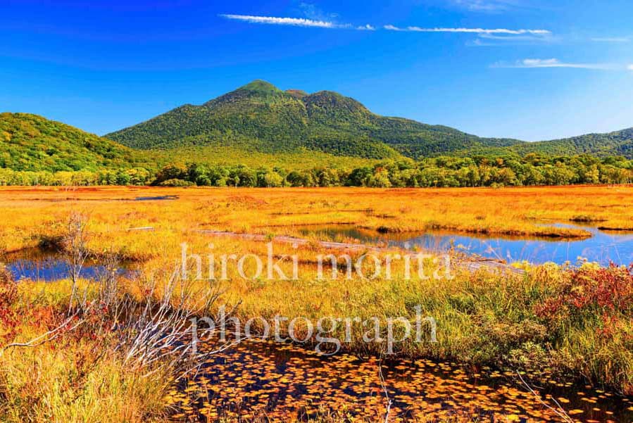 群馬県　尾瀬ヶ原にて　草紅葉　燧ヶ岳