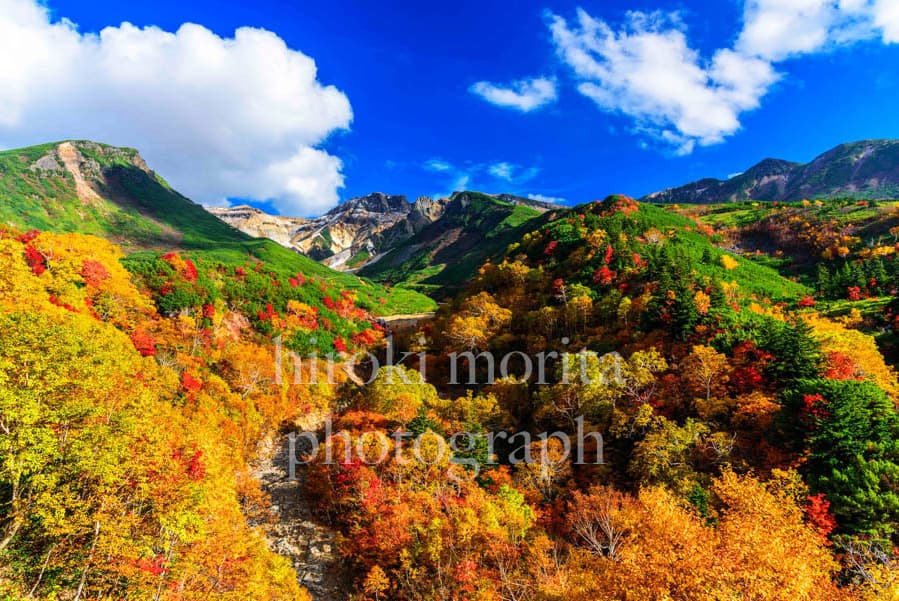 北海道　十勝岳温泉にて　紅葉