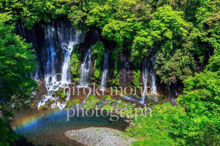 静岡県　白糸の滝
